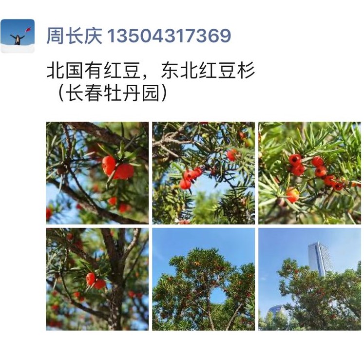 微信图片_20210927184014 (2).jpg