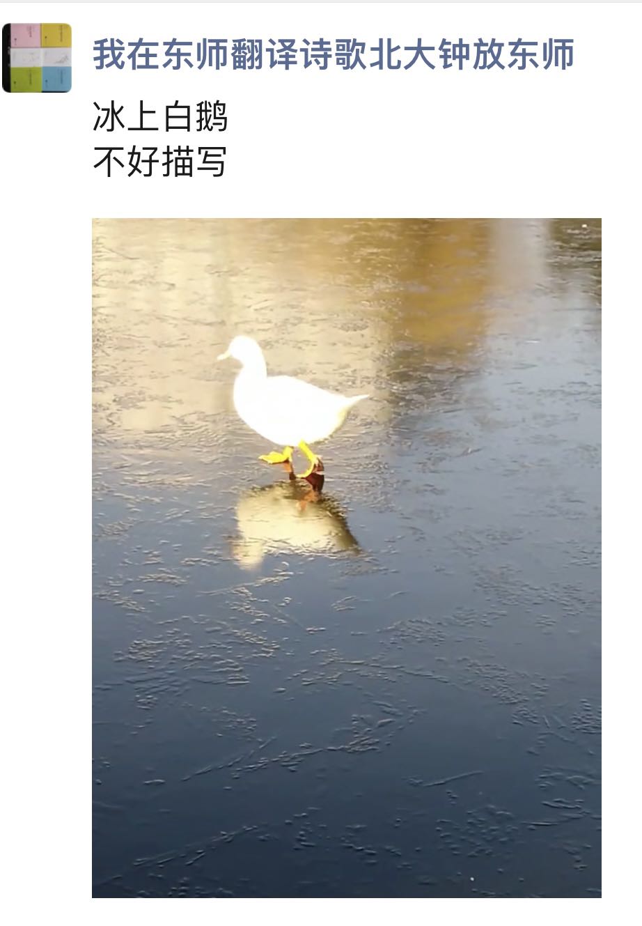 微信图片_20211122215900.jpg