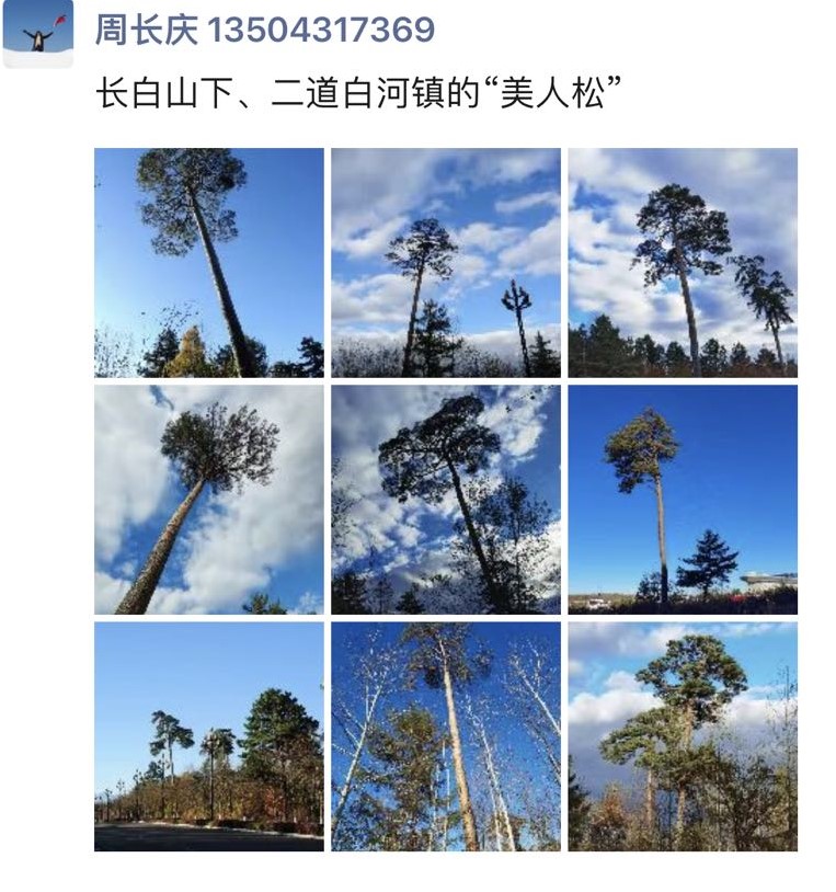 微信图片_20221018183229.jpg
