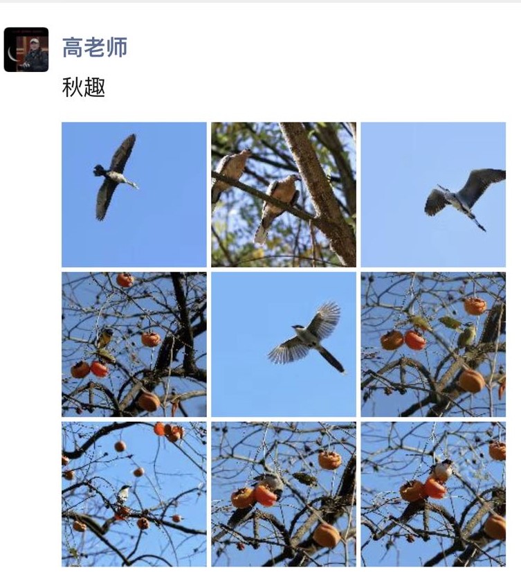 微信图片_20221026141331.jpg
