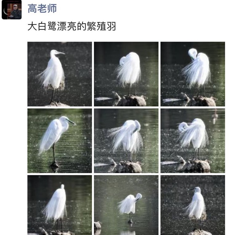 微信图片_20230506172248.jpg