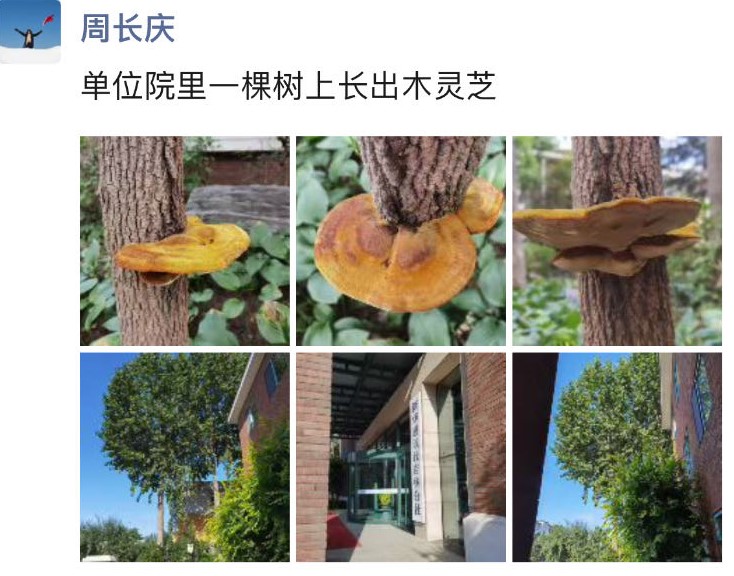 微信图片_20230829173509.jpg