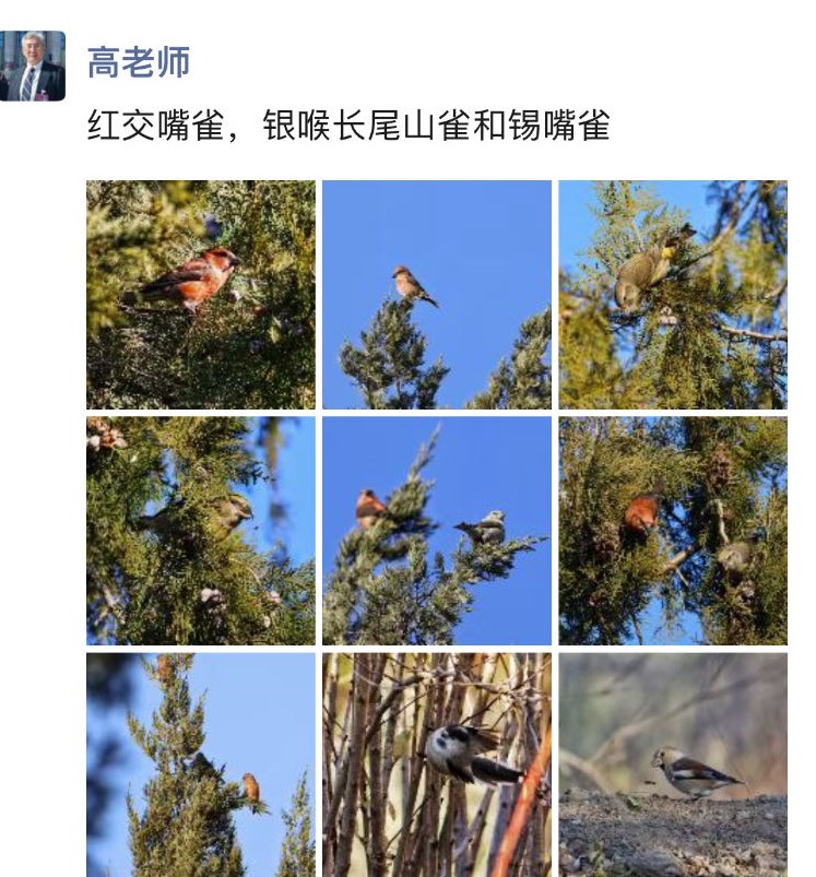 微信图片_20231218113642.jpg